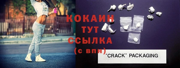 молекула духа Бердск