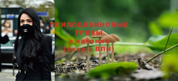 скорость mdpv Белокуриха