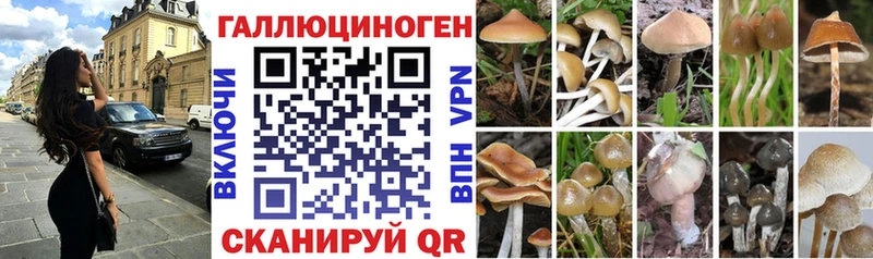 Псилоцибиновые грибы Psilocybine cubensis  МЕГА онион  Белоярский  продажа наркотиков 